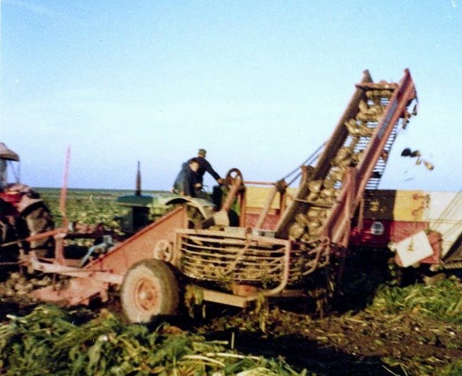 foto
